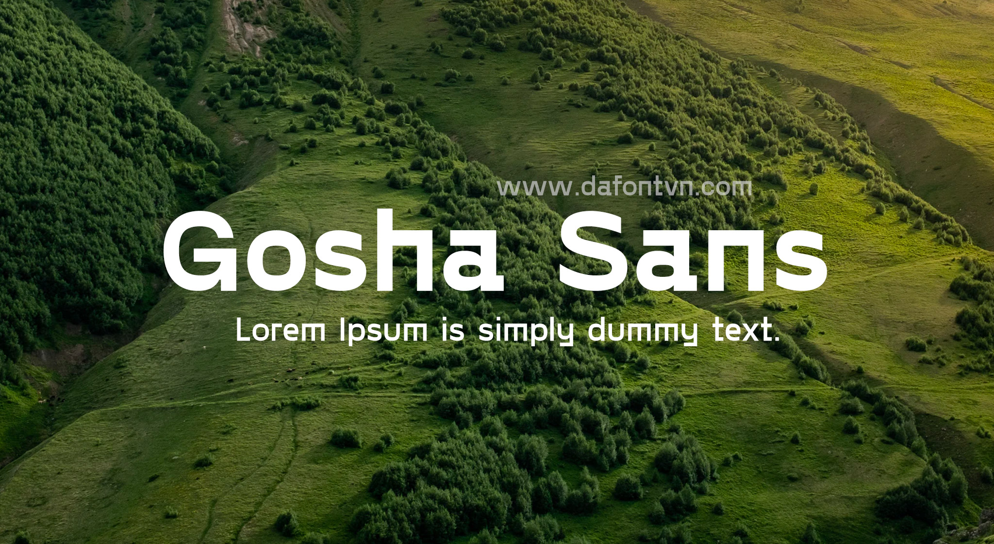 Gosha Sans Font Family 6 styles