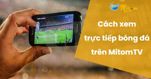 Cách thưởng thức bóng đá trực tuyến dễ dàng trên Mitom TV