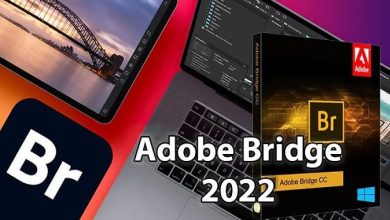 adobe bridge 2022