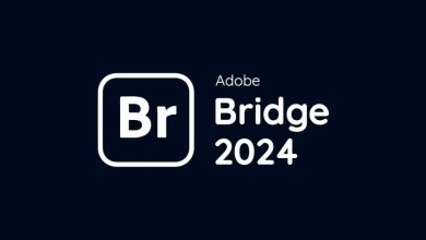 Download Adobe Bridge 2024