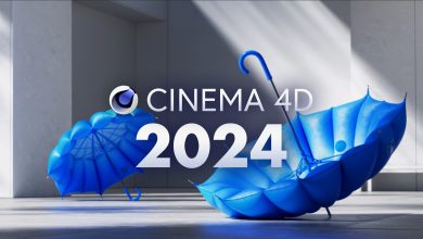 Cinema 4D Studio 2024