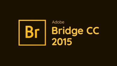 Download Adobe Bridge 2015