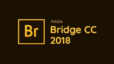 Download Adobe Bridge 2018