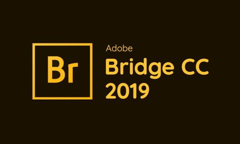 Download Adobe Bridge 2019