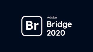 Download Adobe Bridge 2020