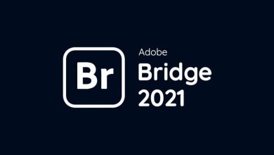 Download Adobe Bridge 2021