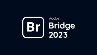 Download Adobe Bridge 2023